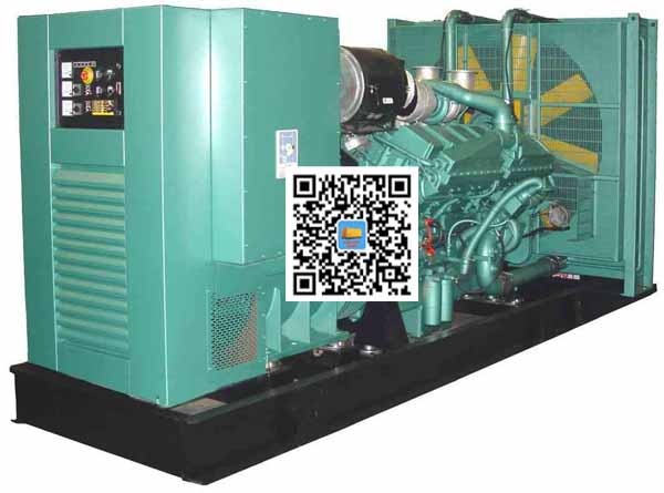 上林笼型异步发电机的电力电子控制技术